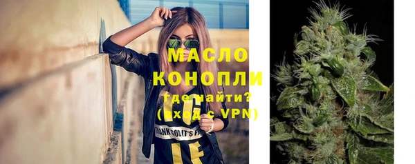 твердый Снежногорск