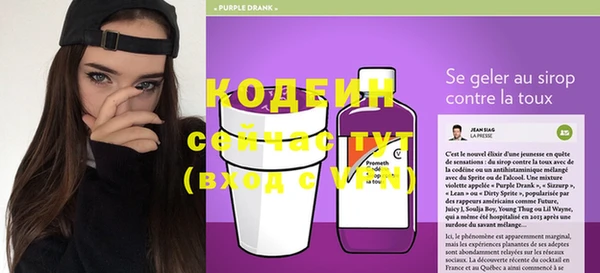 твердый Снежногорск