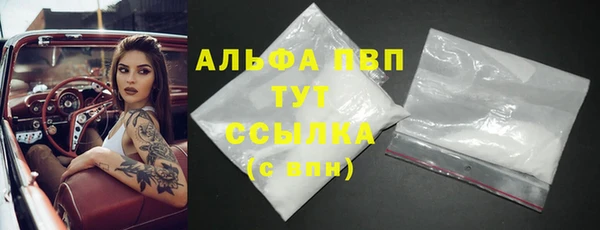 твердый Снежногорск