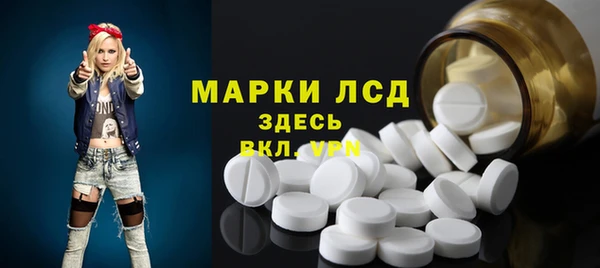 твердый Снежногорск