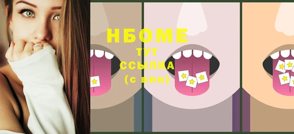твердый Снежногорск