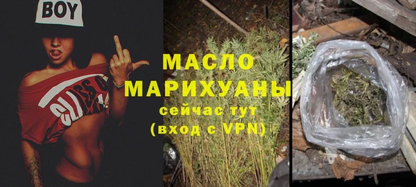 твердый Снежногорск